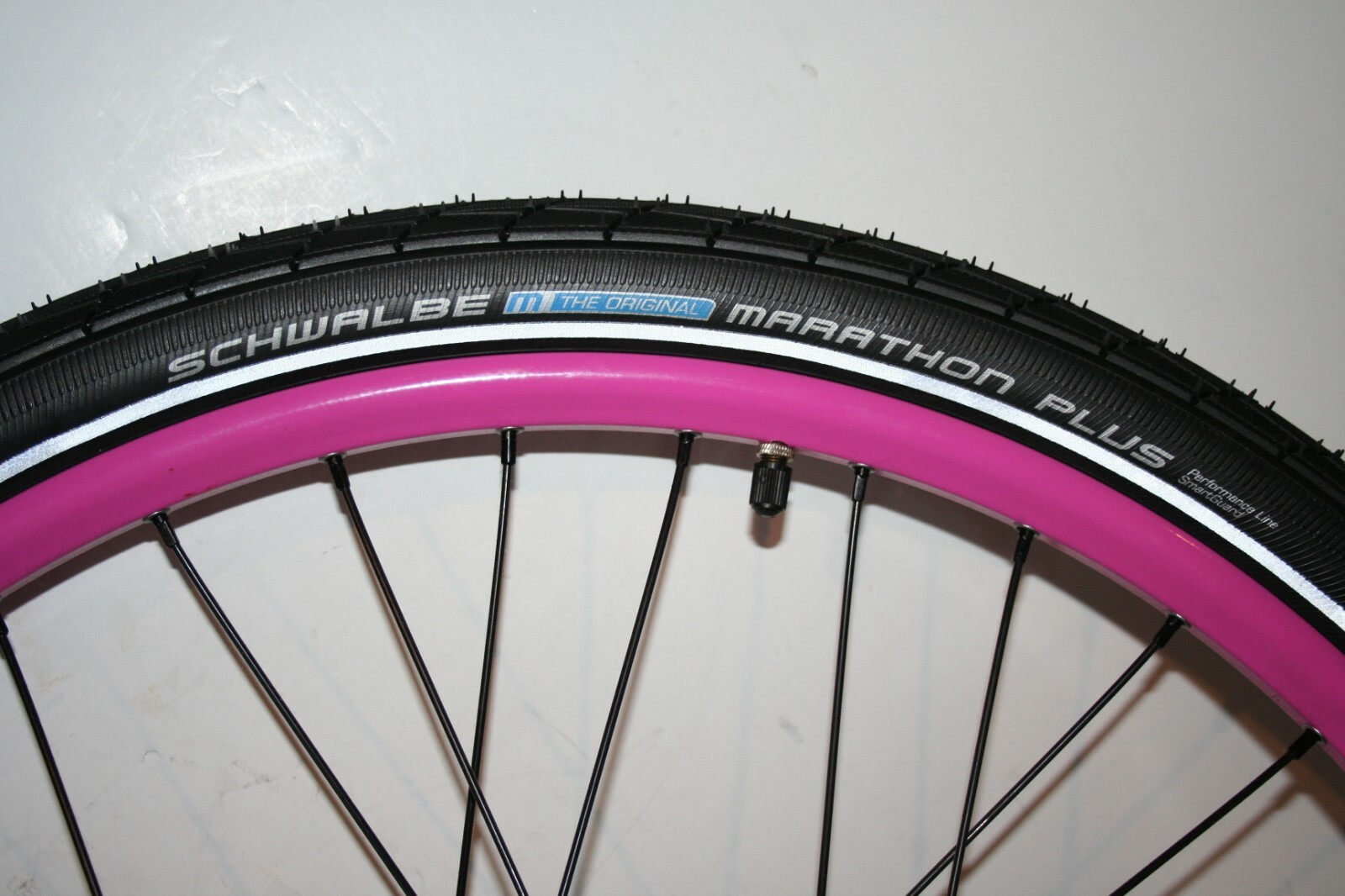 New Enviolo CVP Internally Geared Hub 36 Hole Solid Axle Wheel and Schwalbe Tire