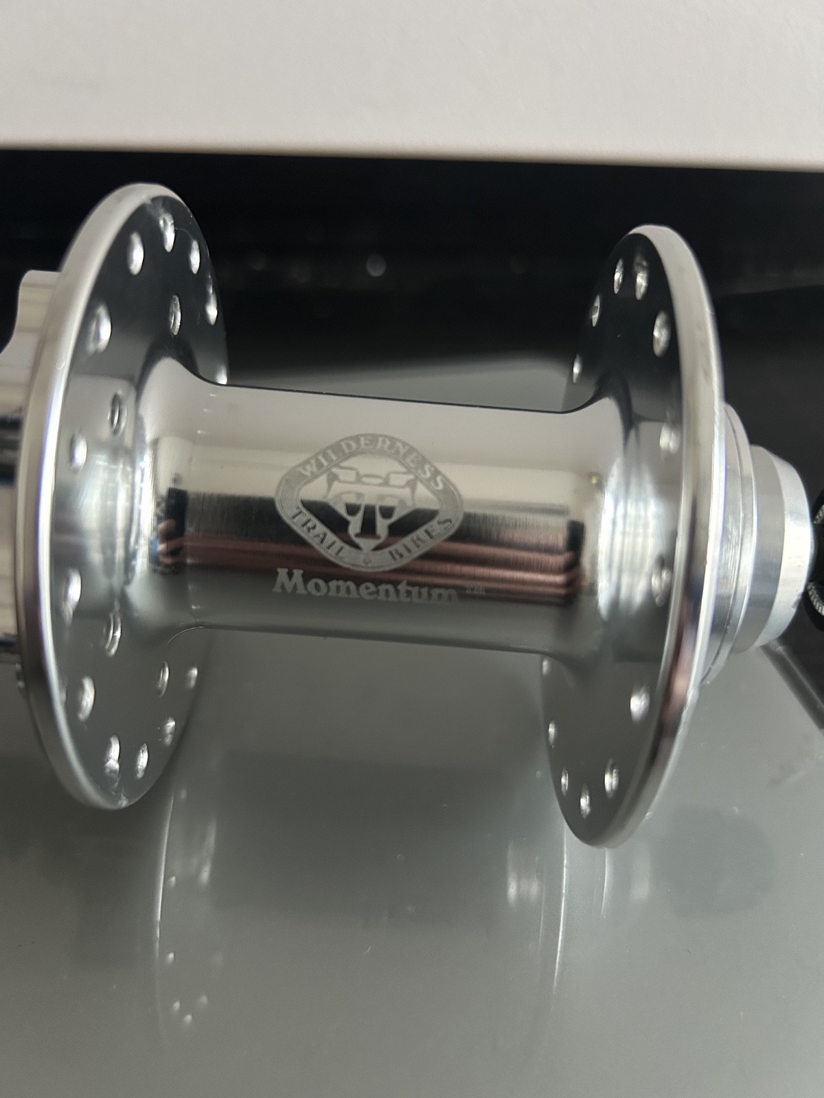 WTB Momentum 32H, 100x9mm QR Silver 6 bolts DSC