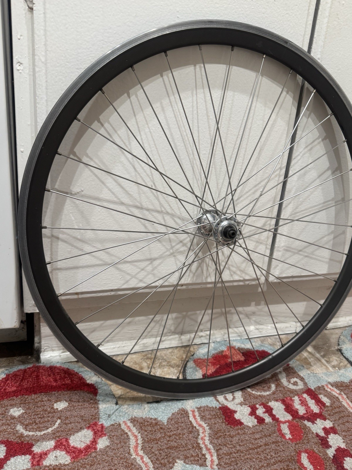 650c Velocity Deep V Rim – 32 Hole – Made in Australia -Campagnolo Hub