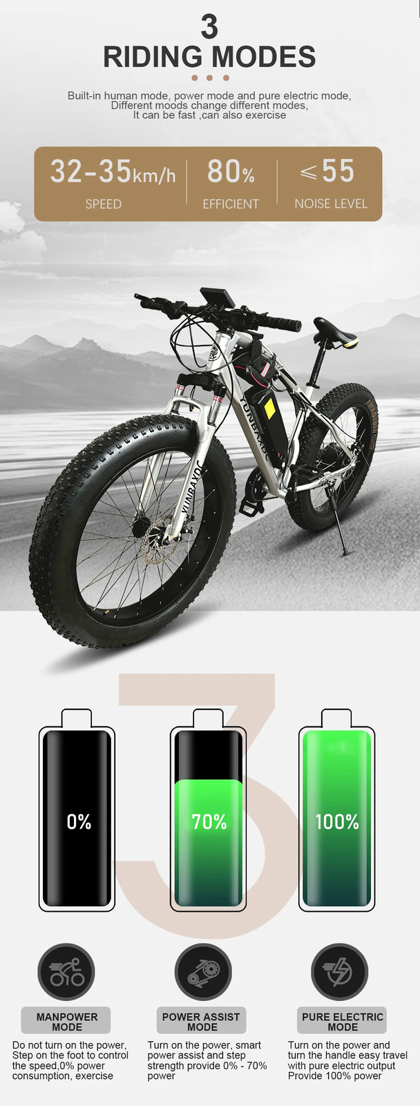 Snow E-bike Conversion Kit 20/26 in 36V 48V 500W Front Brushless Hub Motor Wheel