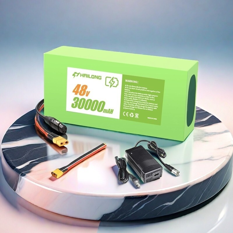 H HAILONG 48V 30Ah Battery lithium for 200W-1500W motor