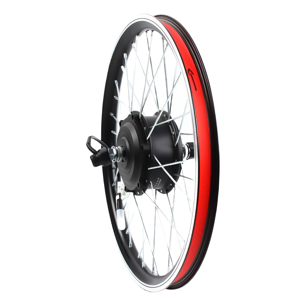 20″ Front Wheel 36V 250W Electric Bicycle Conversion Kit with Throttle