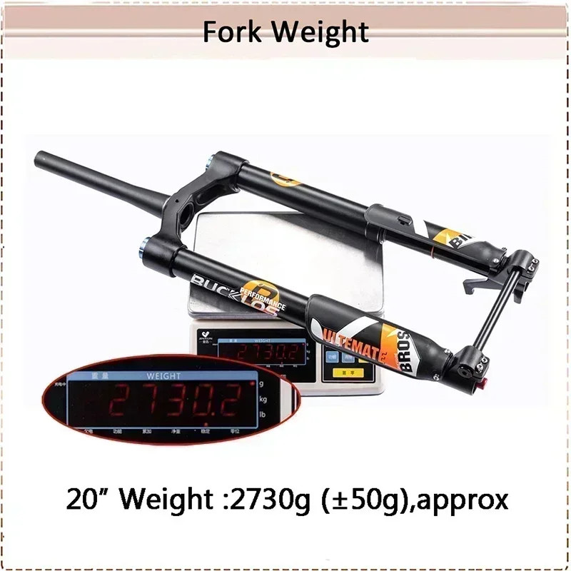 20in Inverted Thru Axle Suspension Air Fork Travel 140mm Snow/Beach E-bike Fork