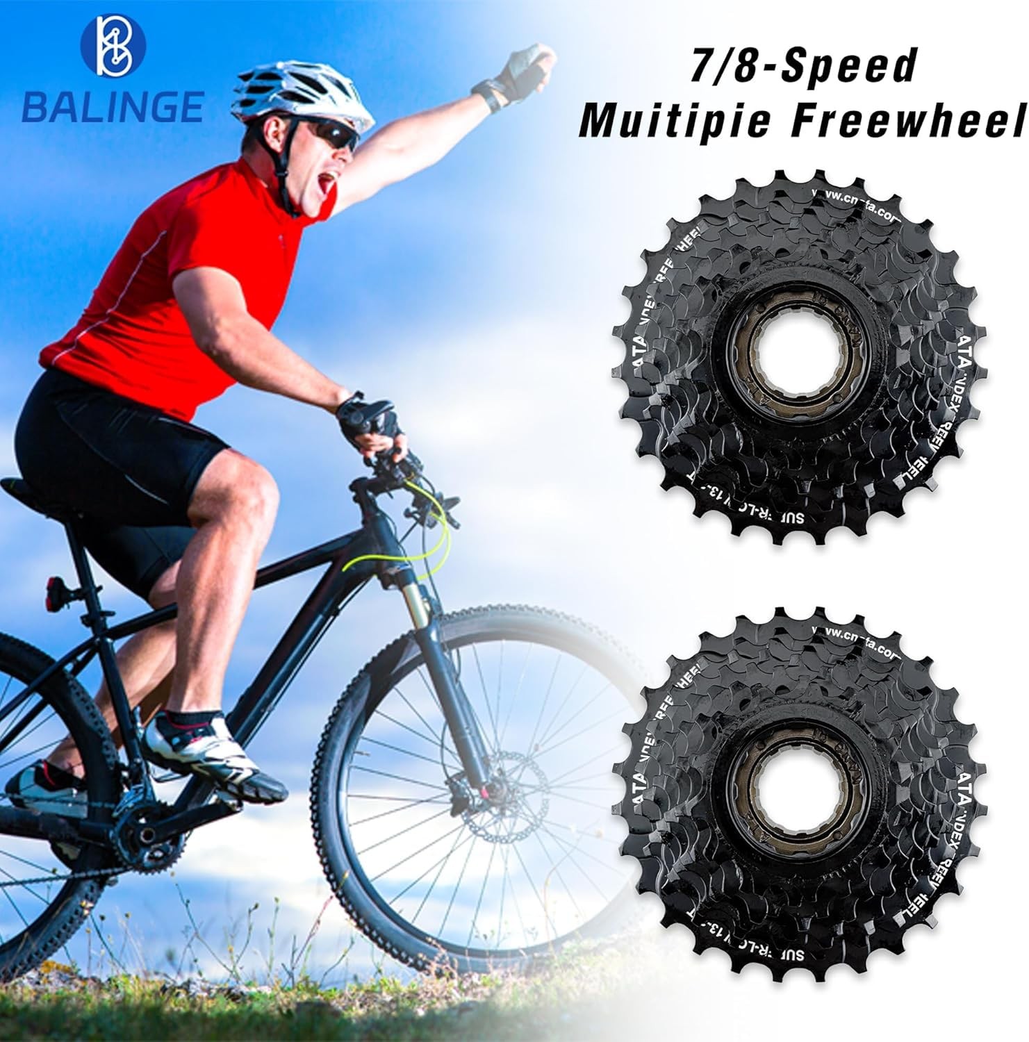 Bike Freewheel, 8 Speed Bicycle Cassette 1328T Gears Sprocket for Teeth Sprocket…
