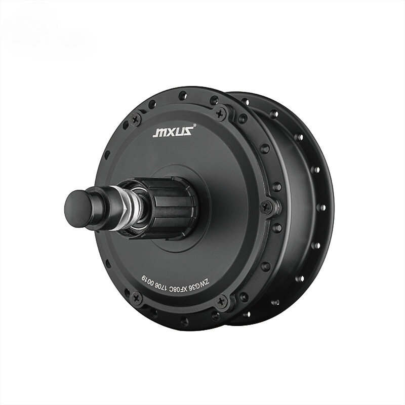 24V 36V 48V 250W Brushless Gear Hub Motor for E-bike Rear Cassette Wheel Motor