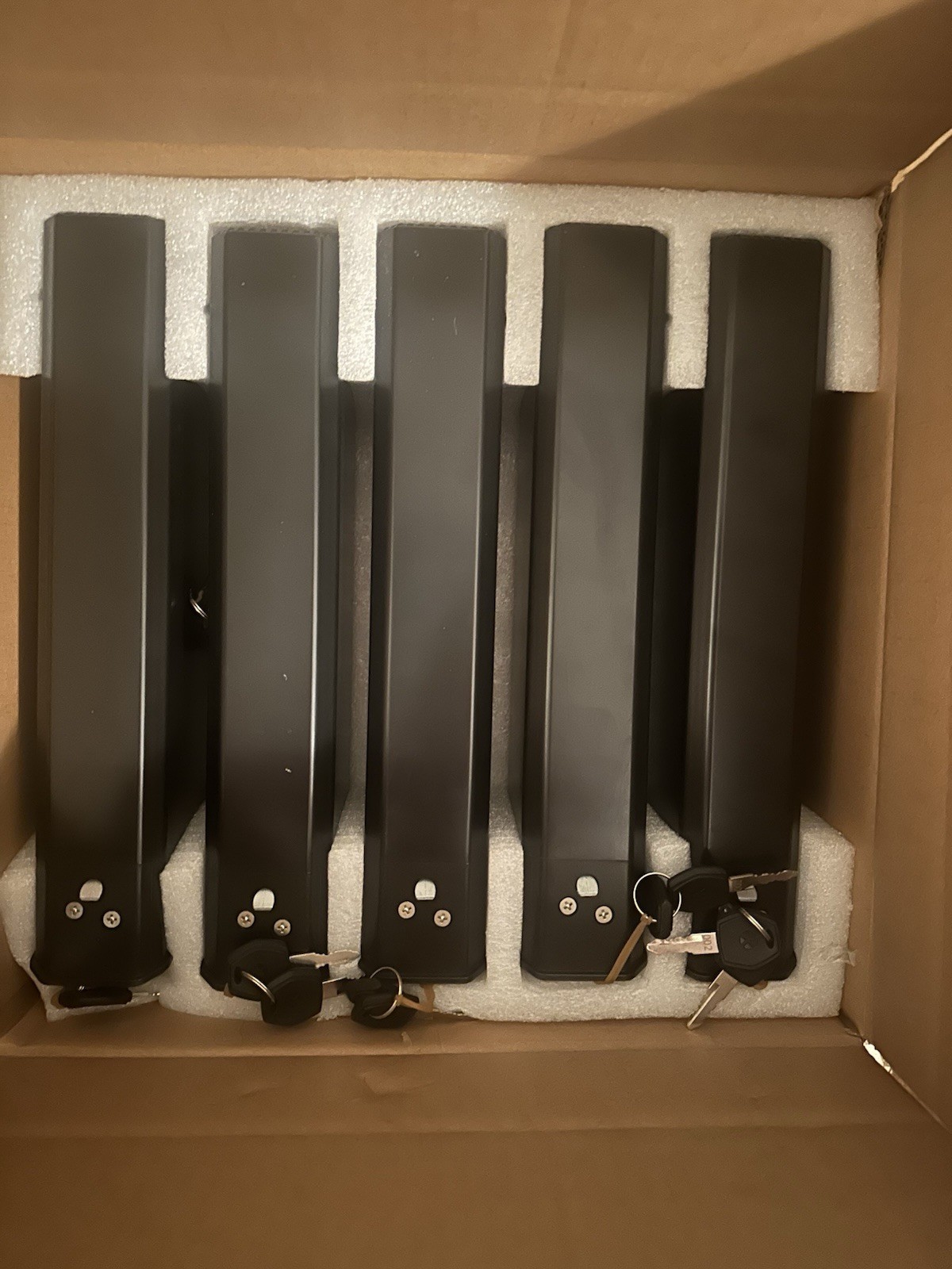 Case Of 10 Jetson HA318 PJHAZE-BTK Genuine Haze 48 V 7.5 Ah Battery W/keys GDE
