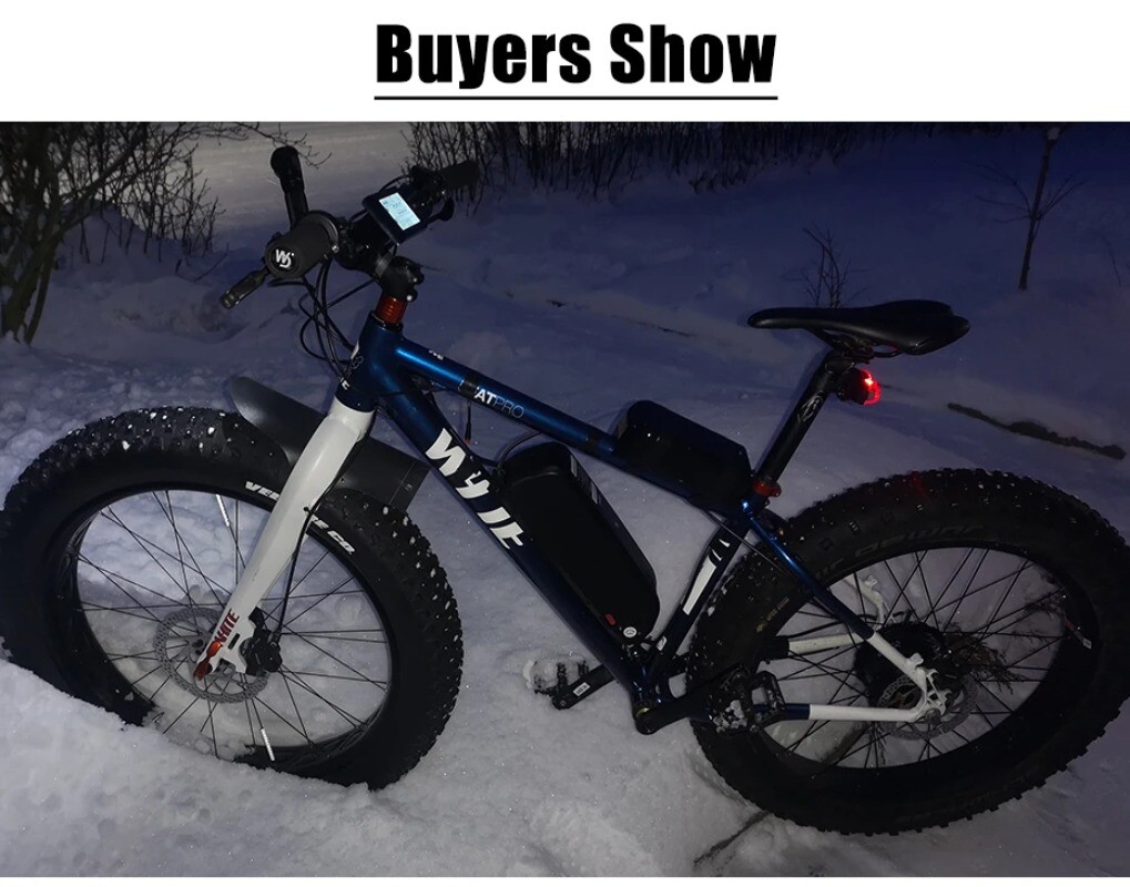 48V 1000W 20/24/26er Snow Fat Tire Electric Bike Brushless Gear Rear Hub Motor